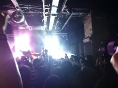 -坚果NUTS