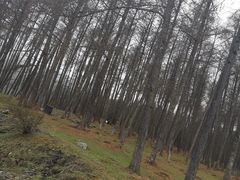 -硗碛藏寨·神木垒景区
