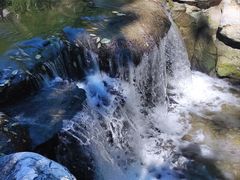 -白水寺森林公园