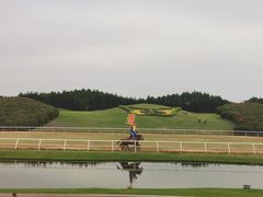 -迪茵湖田家舍生态农场