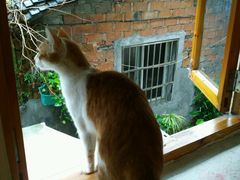 -猫的天空之城概念书店(西塘古镇店)