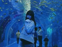 -波塞冬旅游度假区