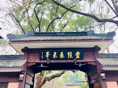 -灵隐飞来峰景区