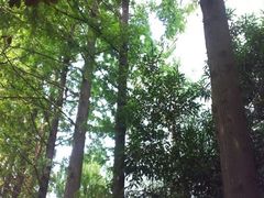 -上海市曹杨第二中学