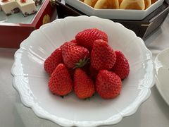 -品海楼·大连海鲜·北派海肠捞饭(老虎滩·渔人码头店)