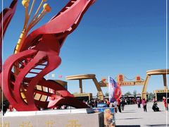 -金塔沙漠胡杨林景区