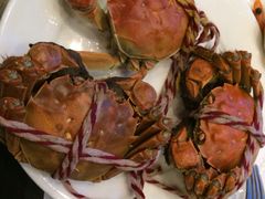 -小天鹅戴斯酒店鲸鲨百汇创作料理