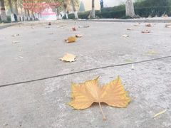 -赵州桥景区