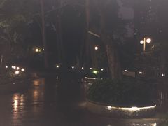 -晓港公园