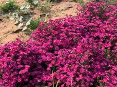 -回龙观体育文化公园