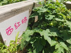 -上海市闵行科技幼儿园