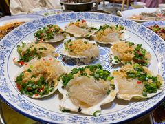 蒜蓉粉丝蒸元贝-徐鼎盛民间菜(南坪后堡店)