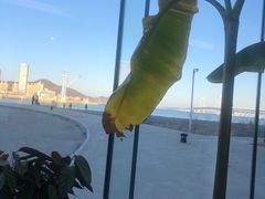 -辰熙ACX星海艺术中心