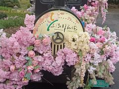 -上海鲜花港