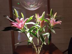 -菩提素素食餐厅(晶郦馆店)