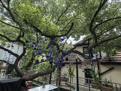 -Pasha帕夏土耳其餐厅(南昌路店)