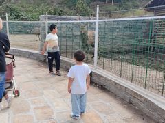-清风小镇闯关东影视基地