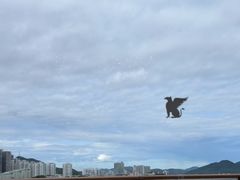 -三亚绿发山海天JW万豪酒店