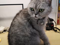 -Oasis绿洲银饰珍珠手作diy(壹方城店)