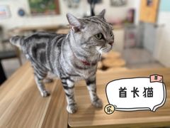 -平行世界·猫咖(首经贸店)