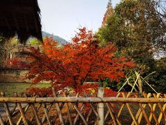 -兰亭风景区