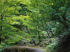 -比叡山
