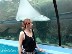 -悉尼海洋生物水族馆