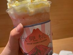 -伏小桃(明瓦廊店)