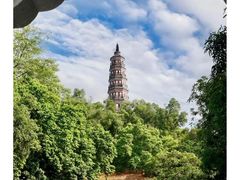 -顺峰山公园