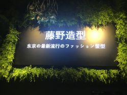 点击看大图 -藤野造型