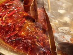 -小龙坎火锅(全球总店)