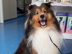 -创凡宠物医院·骨专科  猫科中心(西乡分院)