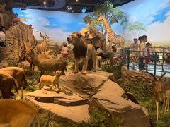 -陕西自然博物馆