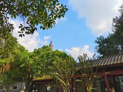 -顺峰山公园