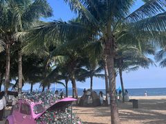 -玫瑰海岸文化旅游度假区