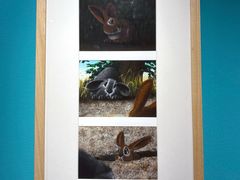 -【朵云轩艺术中心】博洛尼亚插画展·中国巡展·上海站
