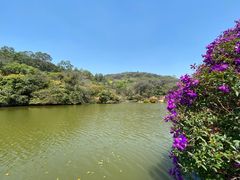 -南国桃园旅游度假区