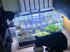 -宠福鑫康馨动物医院·骨科·眼科