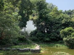 -深圳国际园林花卉博览园