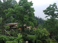 -杭州开元森泊度假乐园