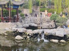 -环城公园