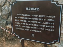 -桃花堤公园