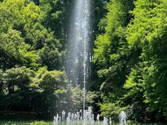 -上海共青森林公园