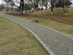 -钟山体育运动公园