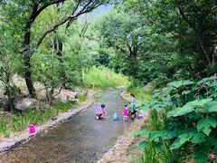 -白水寺森林公园