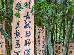 -靖西鹅泉风景区