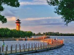 -溱湖国家湿地公园