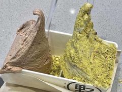 -野人先生现做冰淇淋(北京环宇荟店)