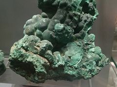 -中国地质博物馆
