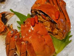 枸杞菊花醉六月黄-蟹榭·本帮江浙菜·蟹宴(五角场合生汇商场店)